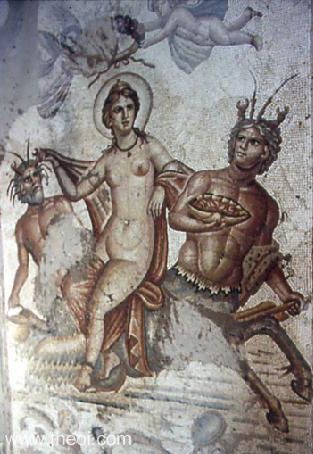 Birth of Aphrodite-Venus | Greco-Roman mosaic